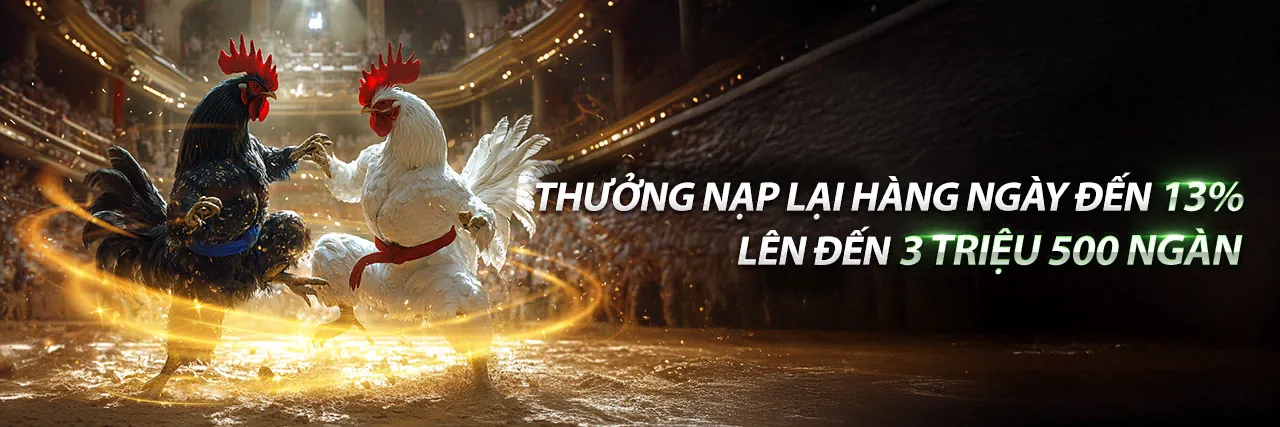 Đá gà trực tuyến VN6 link vào 2026